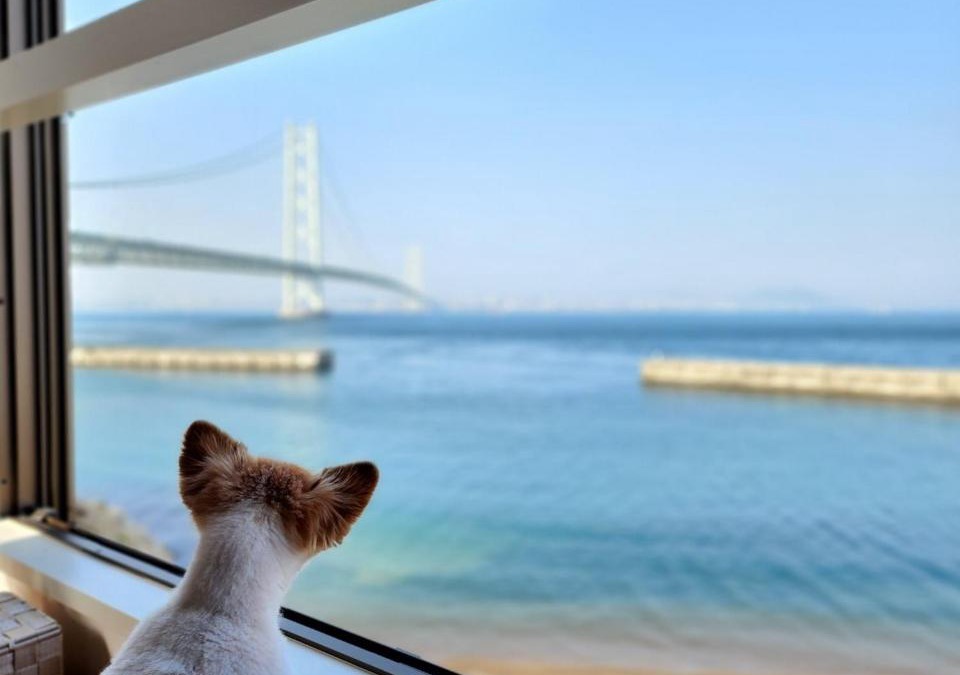 Awaji House | Tiz wan 明石大橋