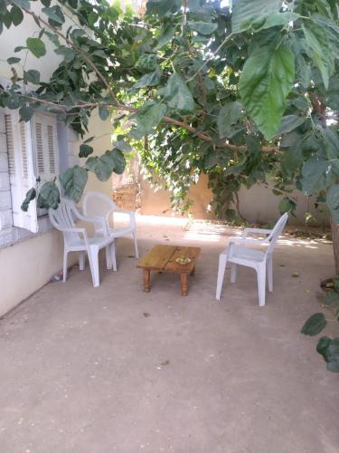 Tlemcen Province House | Tlemcen