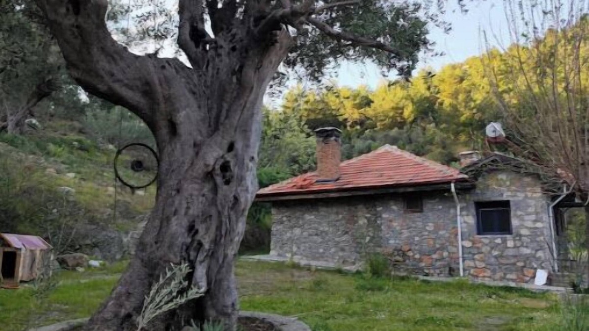 Ortaca House | Togo iztuzu Stonehouse-3nn