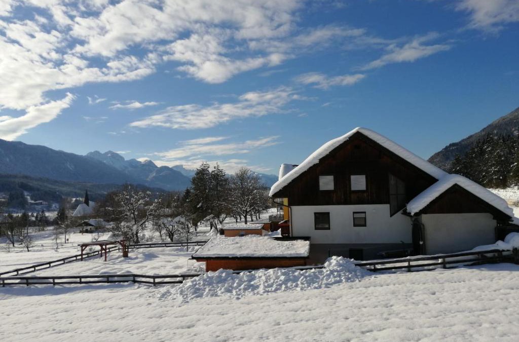 Presseggen Apartment | Tom's Hütte
