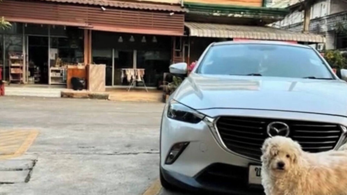 Sila House | TOOMHOME95 , welcome to nice and cozy place clean and safe not far from to town