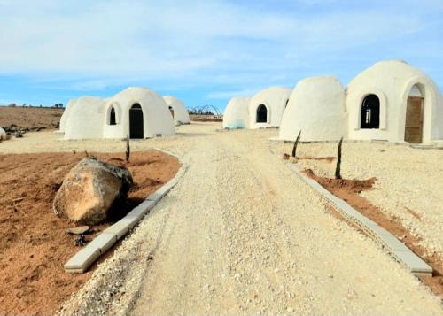 Madaba Governorate Resort | Tootya camp