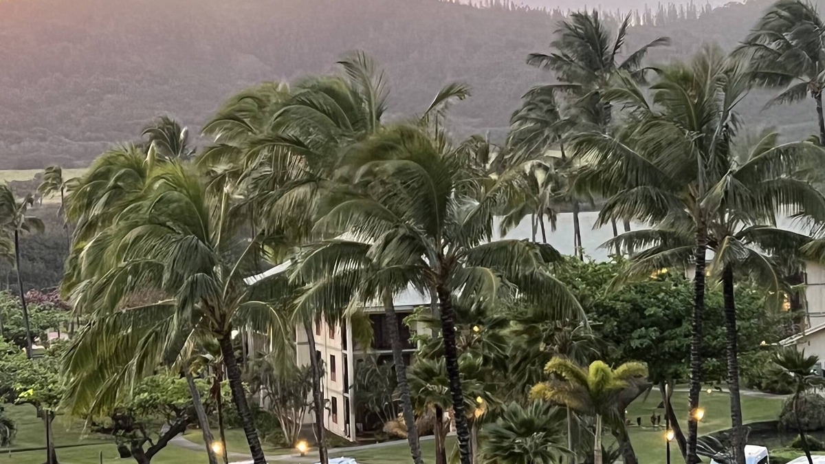 Hanamaulu Resort | TOP Floor- Resort Room on Beach with 4 Pools, AC, Restaurants, No Resort Fee!