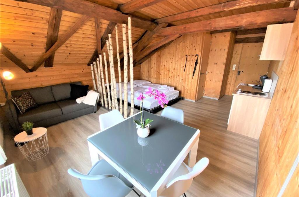 Perlesreut Apartment | TOP-URIGES Apartment mitten im Bayerwald +NETFLIX