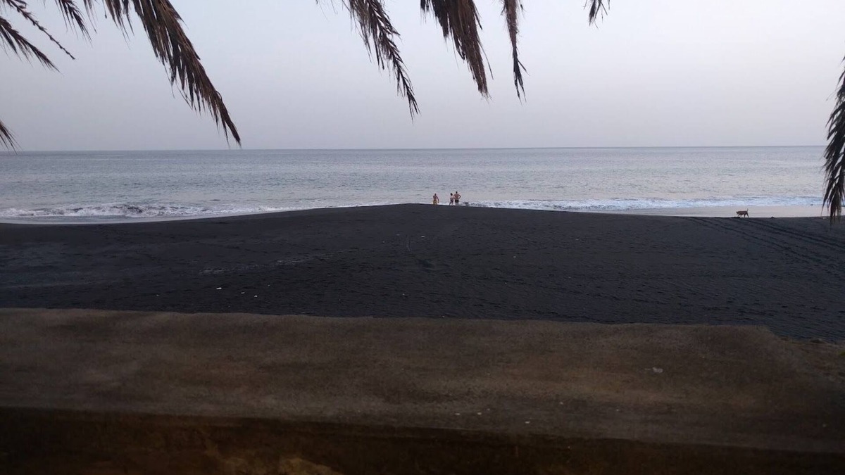 Sao Filipe Bed & Breakfast | Tortuga b&b right by the beach, paradise garden, delicious food and drinks