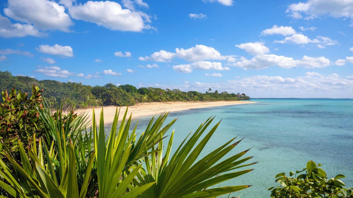South Palmetto Point House | Totally Secluded 40-Acre Beachfront Estate, Privat