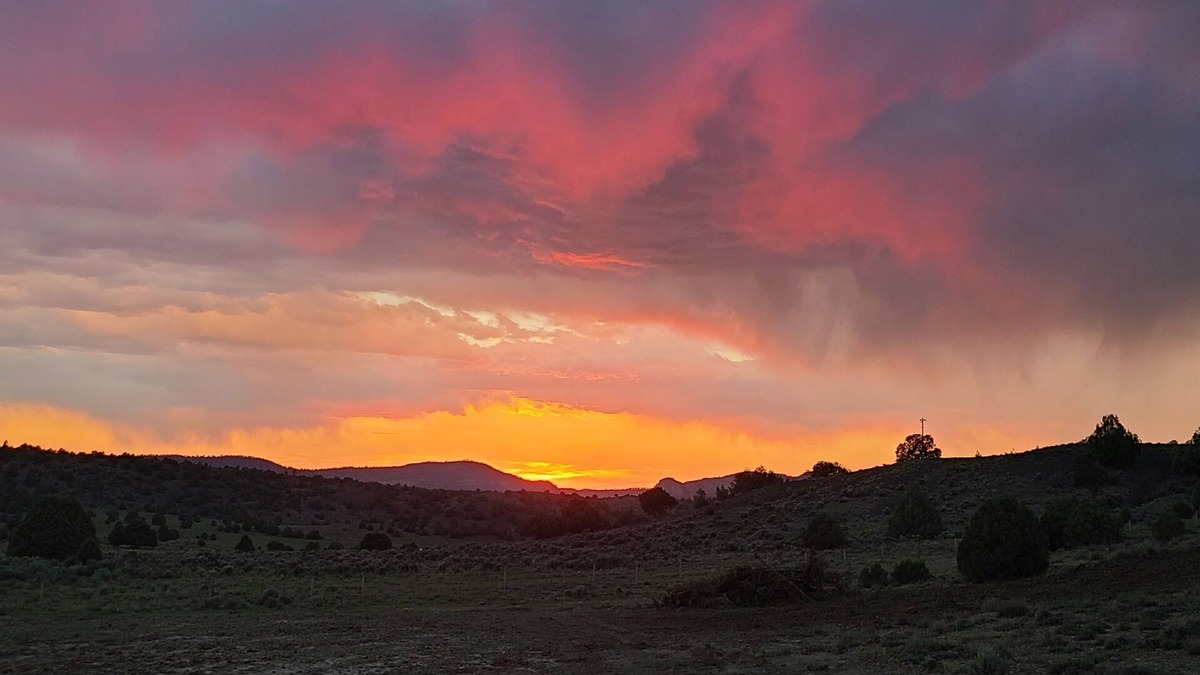 Chama House | Trade the hustle, bustle, horns, sirens for a camping getaway!