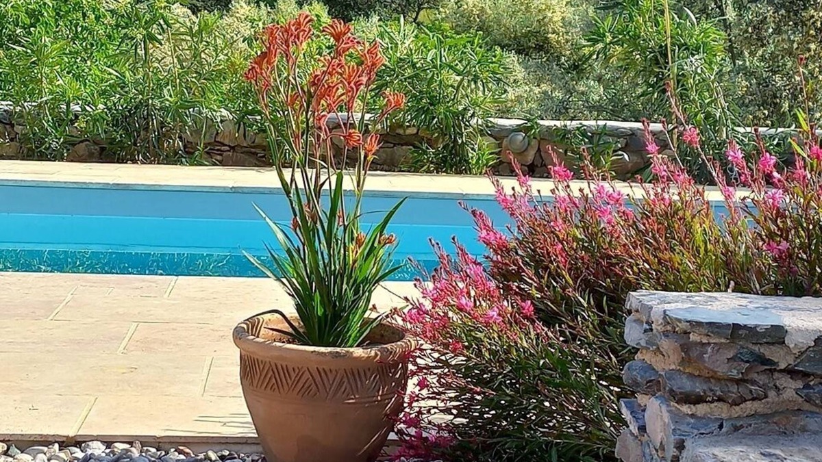 Livadi Villa | Traditional charming house