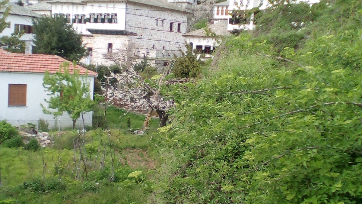 Vizitsa House | Traditional Guest Home Dimou