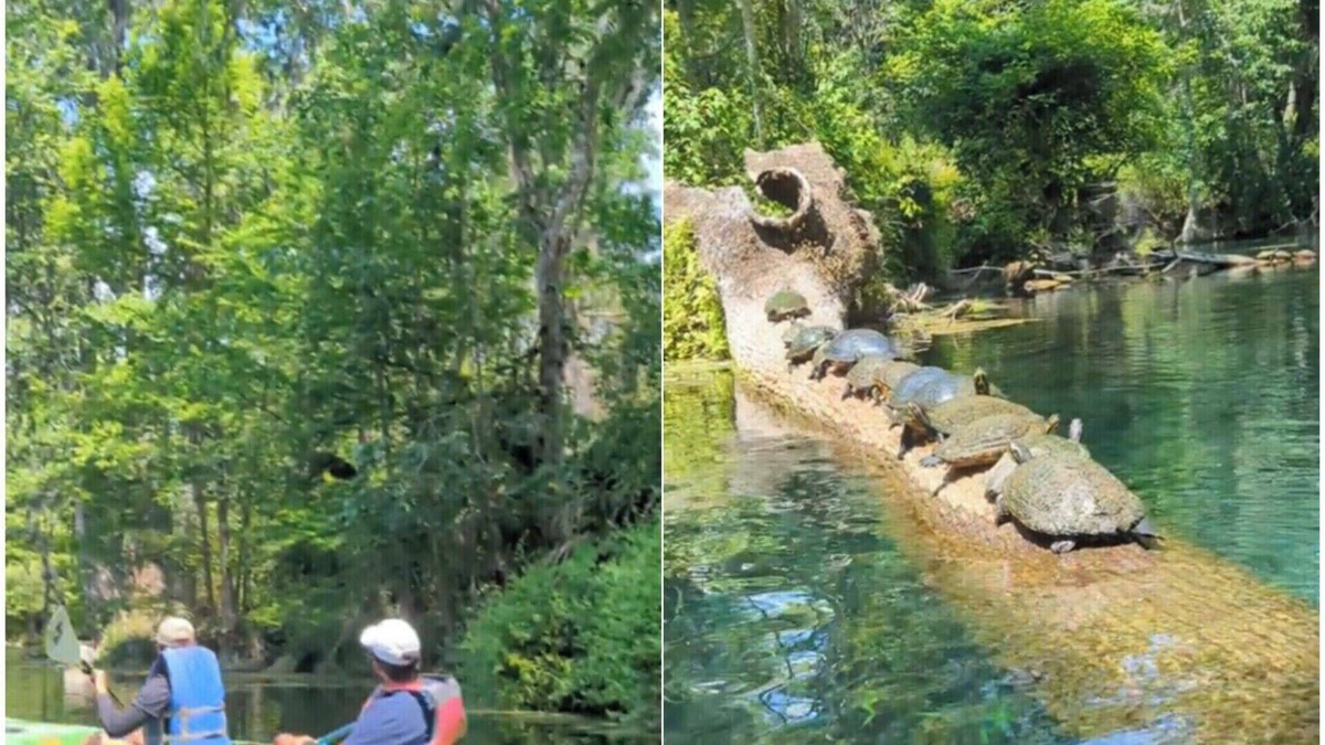 Edgar RV Rental | Tram^ping ⛺ enjoy this new experience.