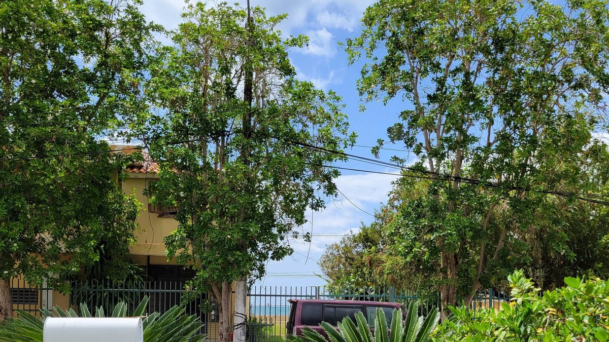 Mayaguez House | Tranquil 3 Bedroom Water Front House - 5 minutes from beach!