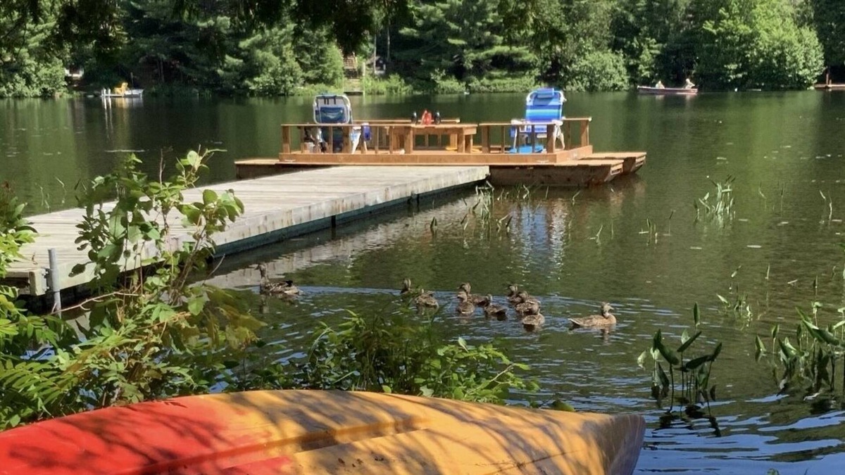 La Conception Cabin | Tranquil Lakefront-2 bedroom retreat for work/play