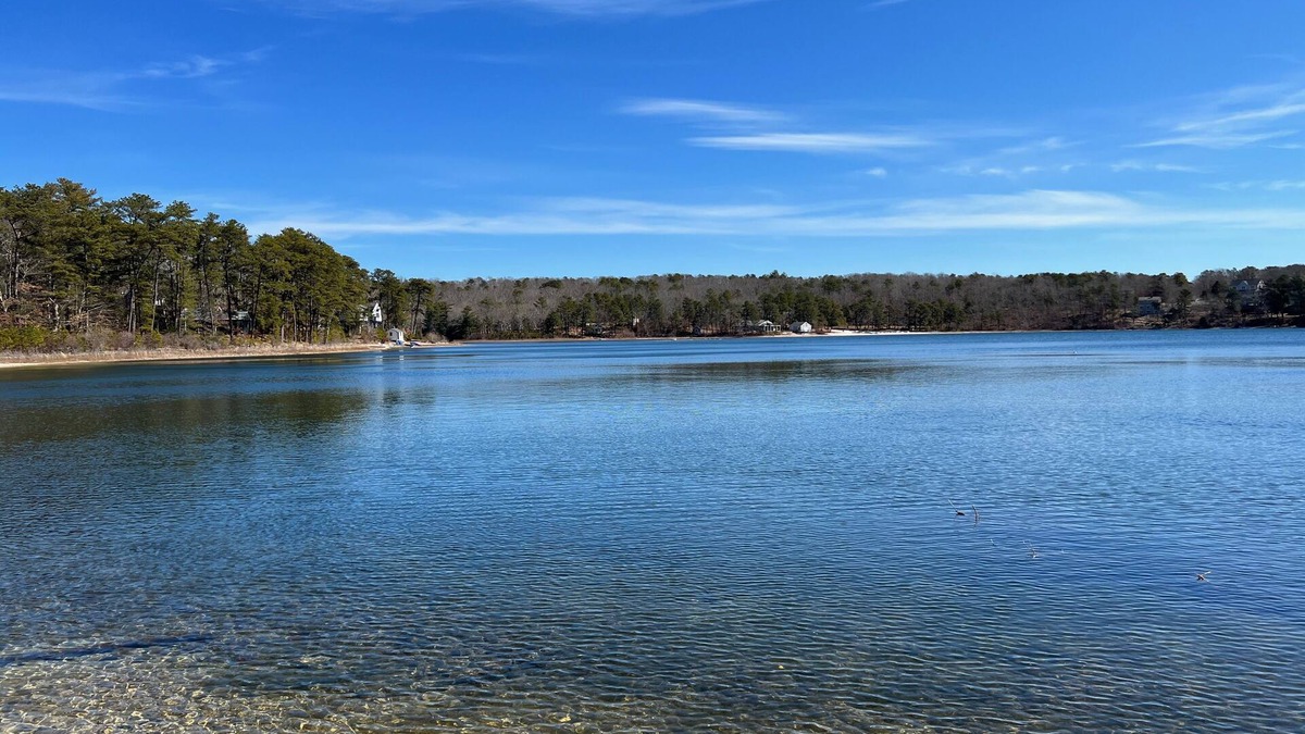 Forestdale House | Tranquil Oasis: A Beautiful Water-Front Home