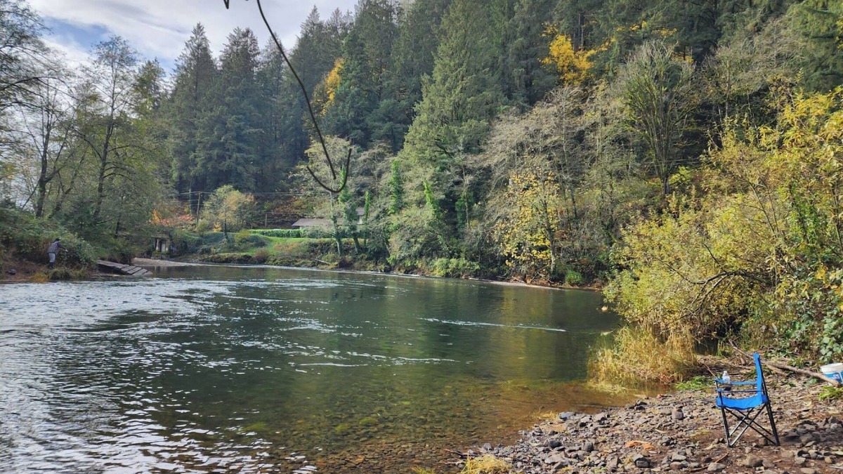 Tillamook House | Tranquil Riverfront Retreat Near Tillamook's Bestn