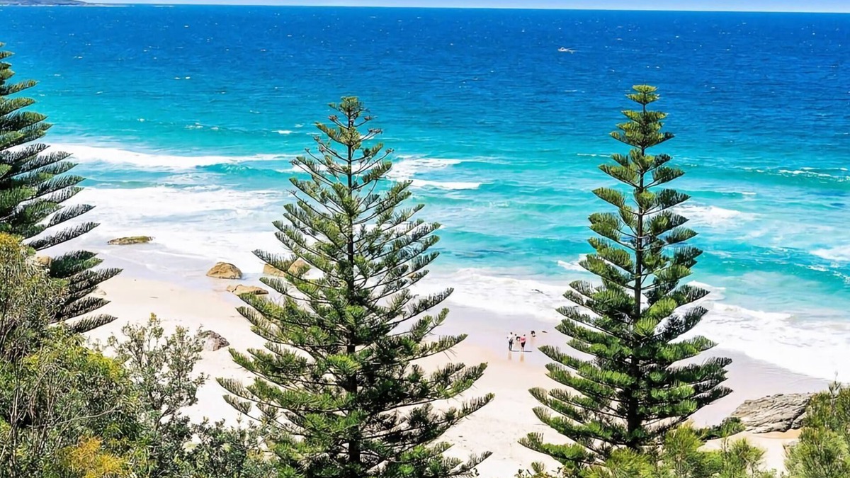 Kiama Downs House | Tranquil Seaside Escape Kiama Downs NSW