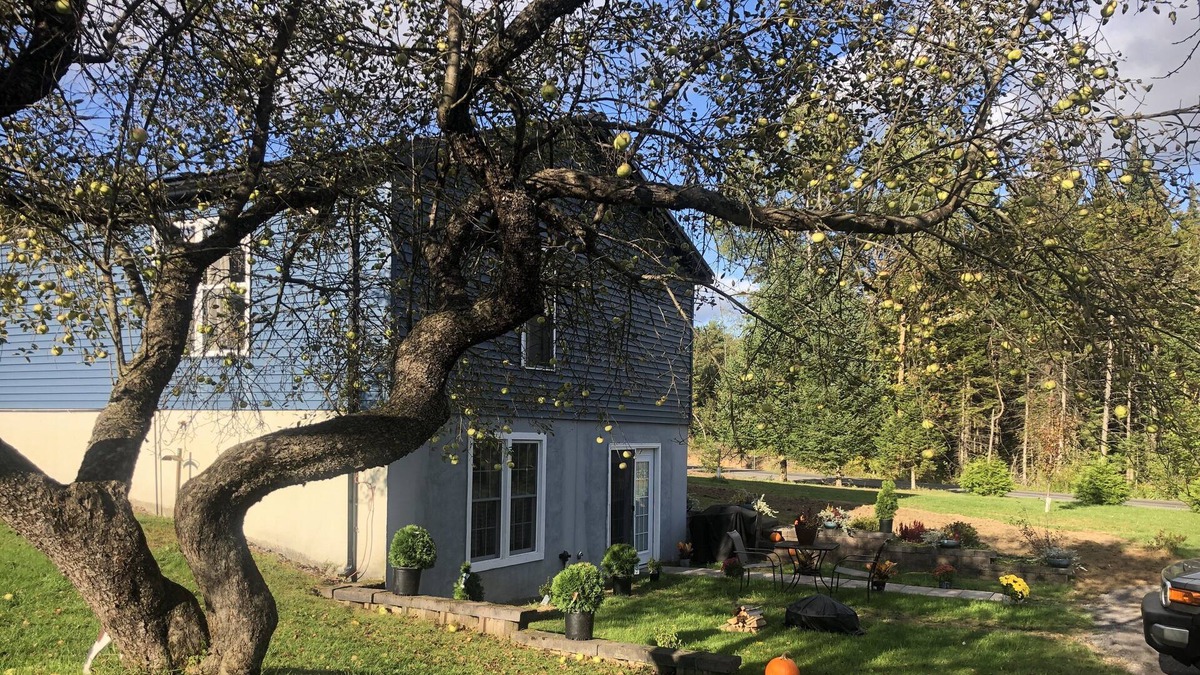 Cold Brook House | Tranquility