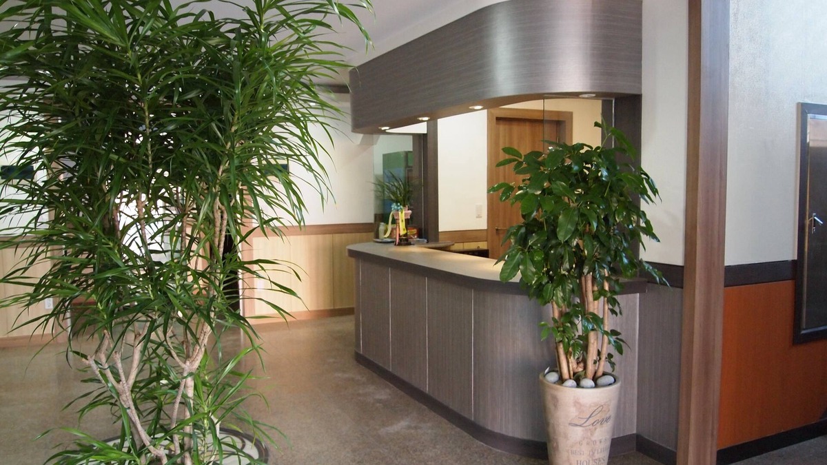 Oeseo Hotel | Traum Hotel & Condo