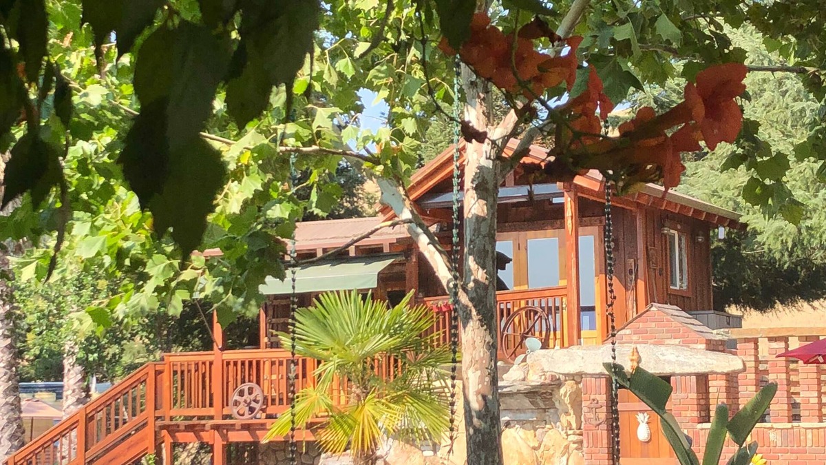 Atascadero Cabin | TREE CABIN FOR 2🌲Unique cabin close to San Luis Obispo, Morro Bay & Paso Robles