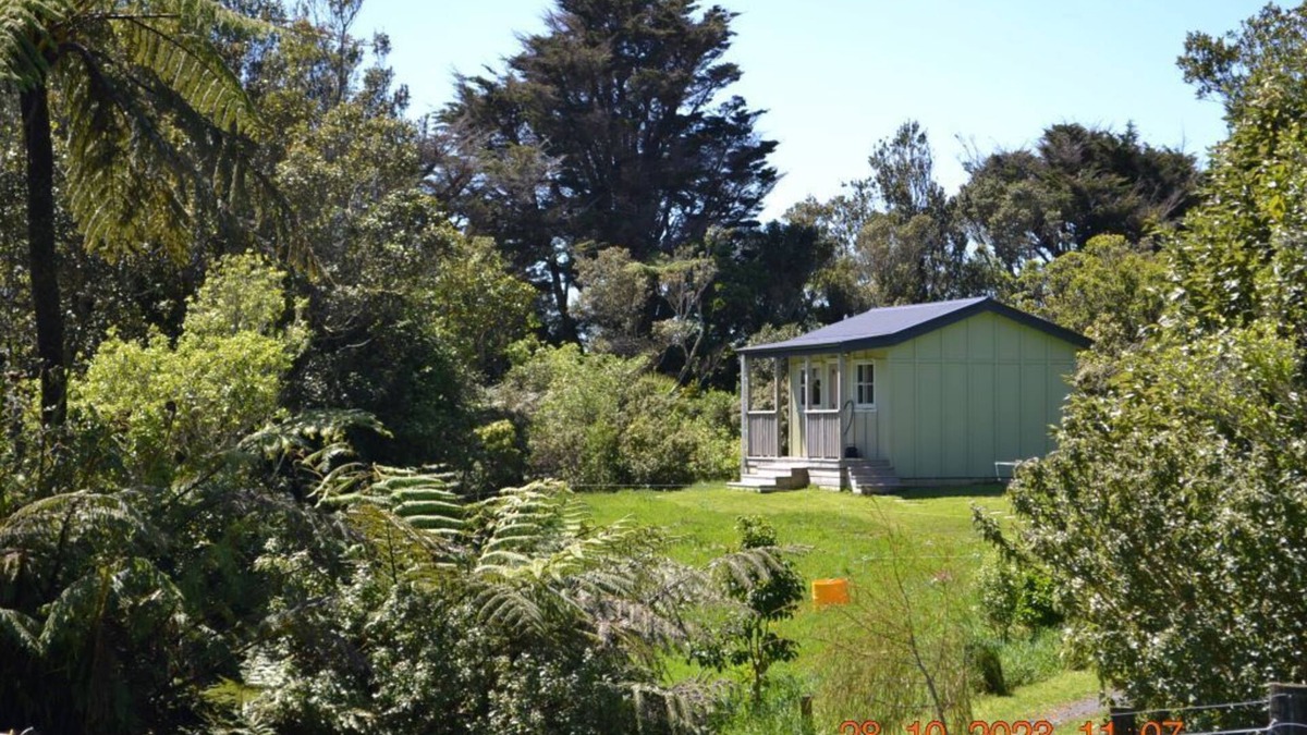 Kaitake Cabin | Tree Fuchsia Cabin