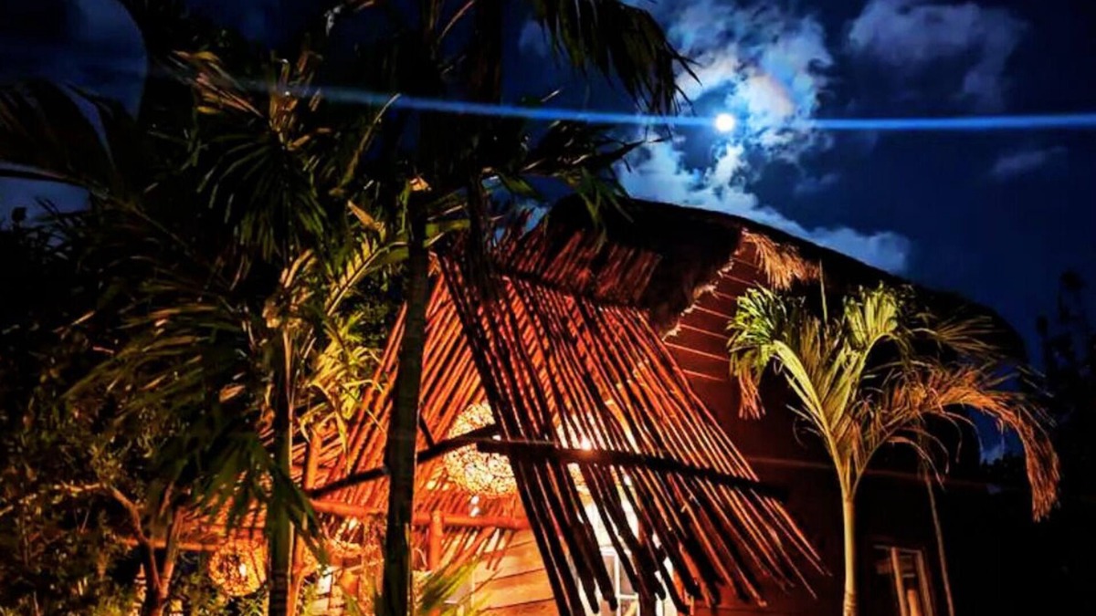Isla Holbox House | Tree-House 3 min walk to beach/AC/king Bed/WIFI
