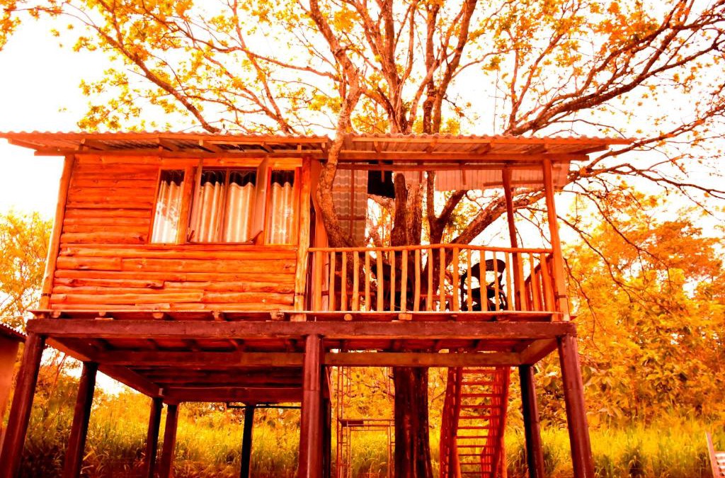 Sevanagala Hotel | Tree House 4 Nature Lovers