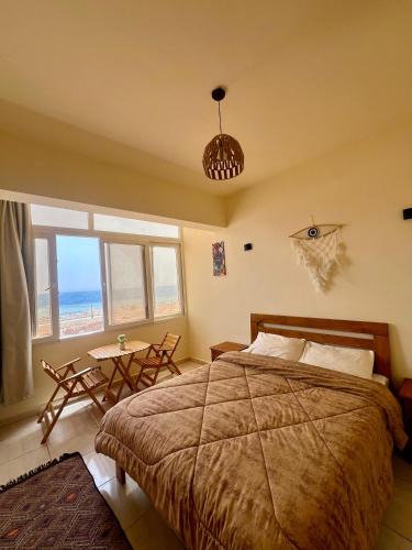 Dahab Hotel | Tree House Hotel Dahab