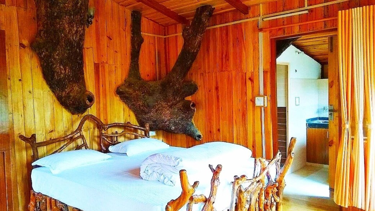 Kaul House | Tree House on Oak Tree at Silent Valley Alchauna Along River Kalsa