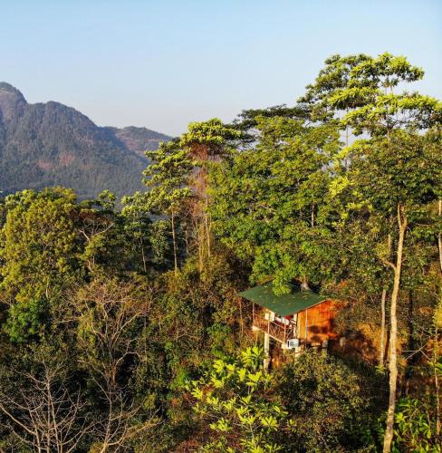 Ginigathena Hotel | Tree Houses by Jungle River