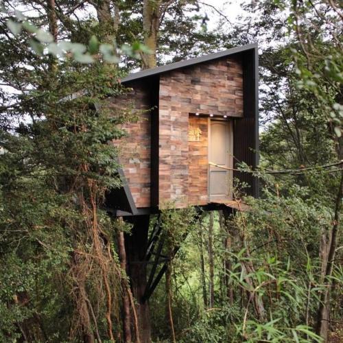 Puqueldon Cabin | TREE LODGE CHILOE