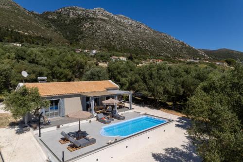 Eleios-Pronnoi House | Tree of Life