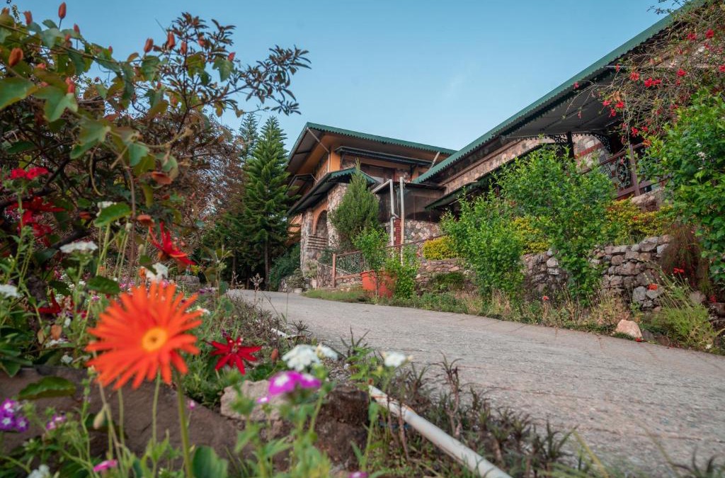 Bigha Resort | Tree of Life Resort Dehradun Foothills