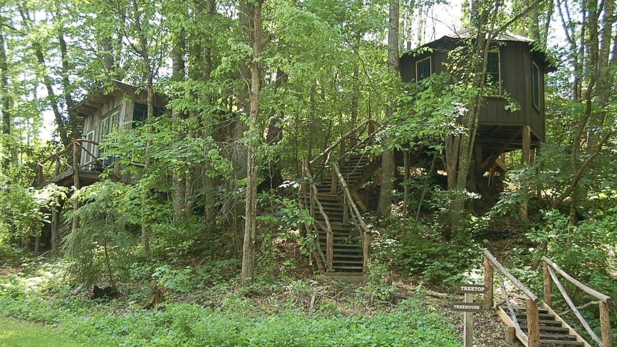 Crumpler House | Tree Top Cabin