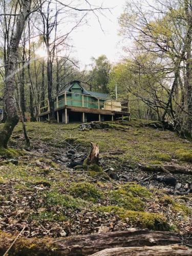 Llanelltyd Apartment | Tree Top Cabin with Private Hot Tub