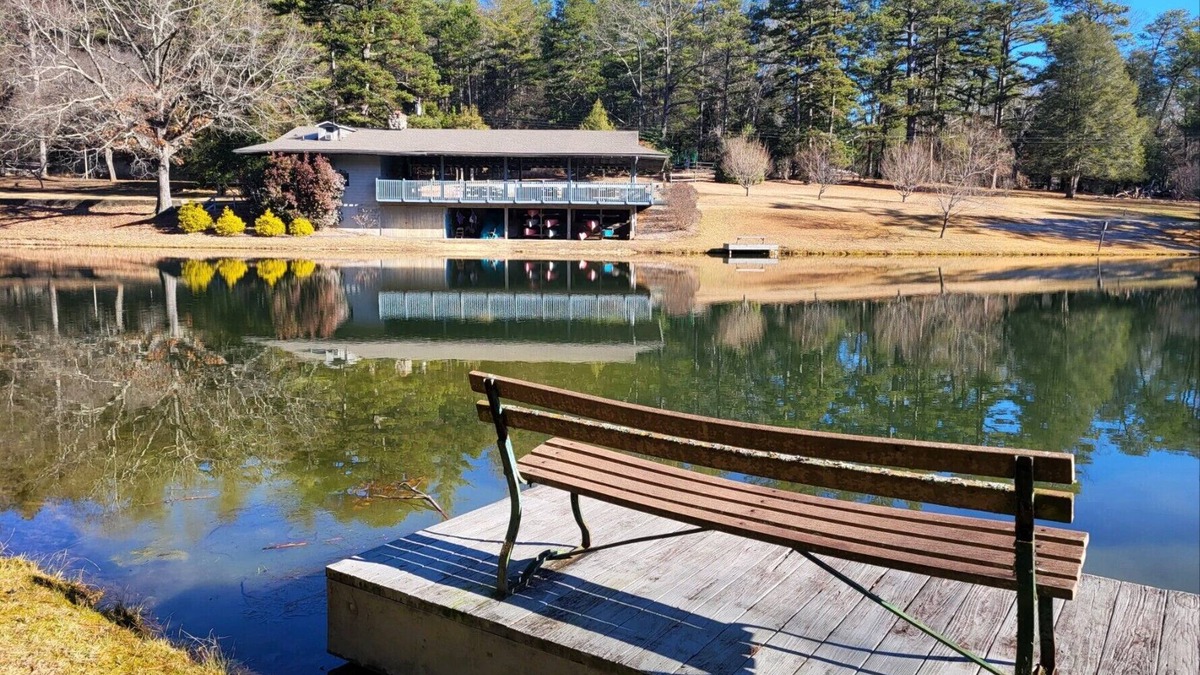 Arden Apartment | Tree Top Retreat minutes from the airport and downtown Asheville