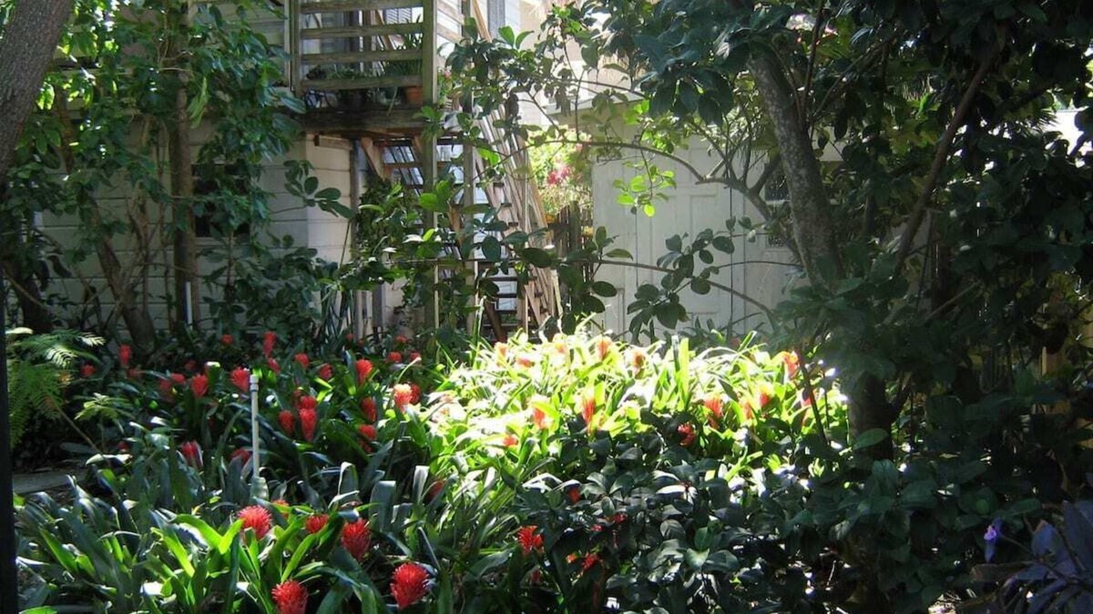 Historic Uptown Apartment | Treehouse 1BR Apt. Near Downtown, Private
