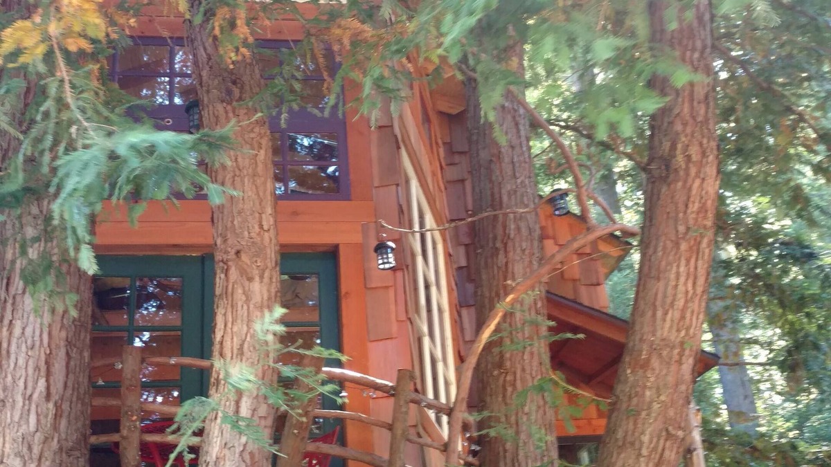 Los Gatos Ski Chalet | Treehouse in the Los Gatos Mountains, Redwoods, Beaches & Silicon Valley