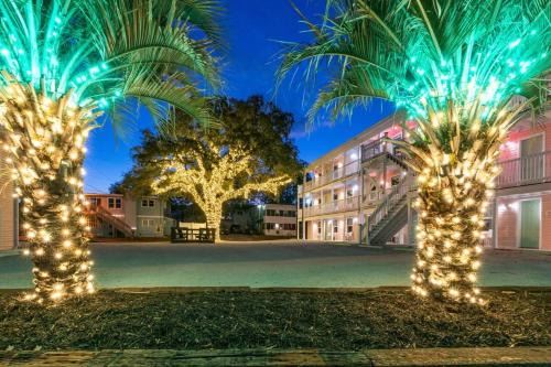 Windy Hill Apartment | TreeHouse Lodge Walk to Beach Pet-Friendly 104