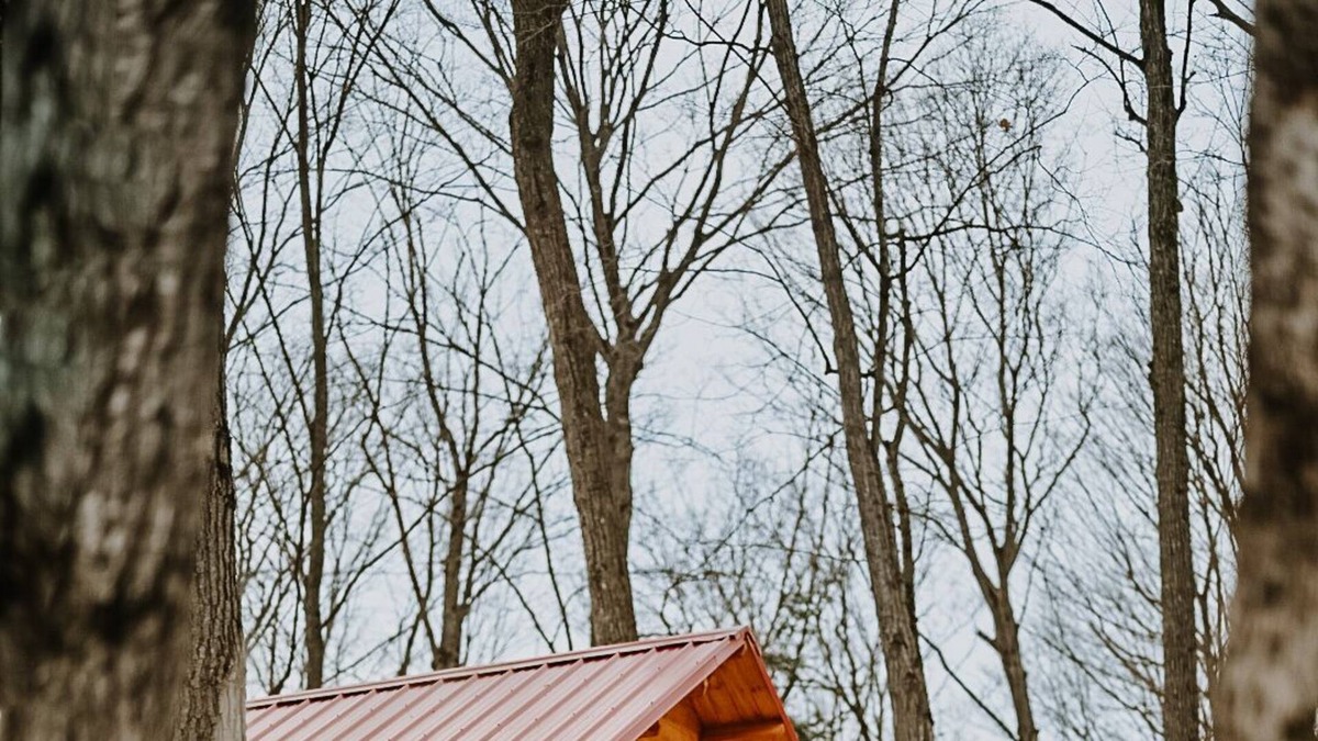 East Gwillimbury Cabin | Treehouse On Animal Sanctuary Hottub/Sauna/Trails