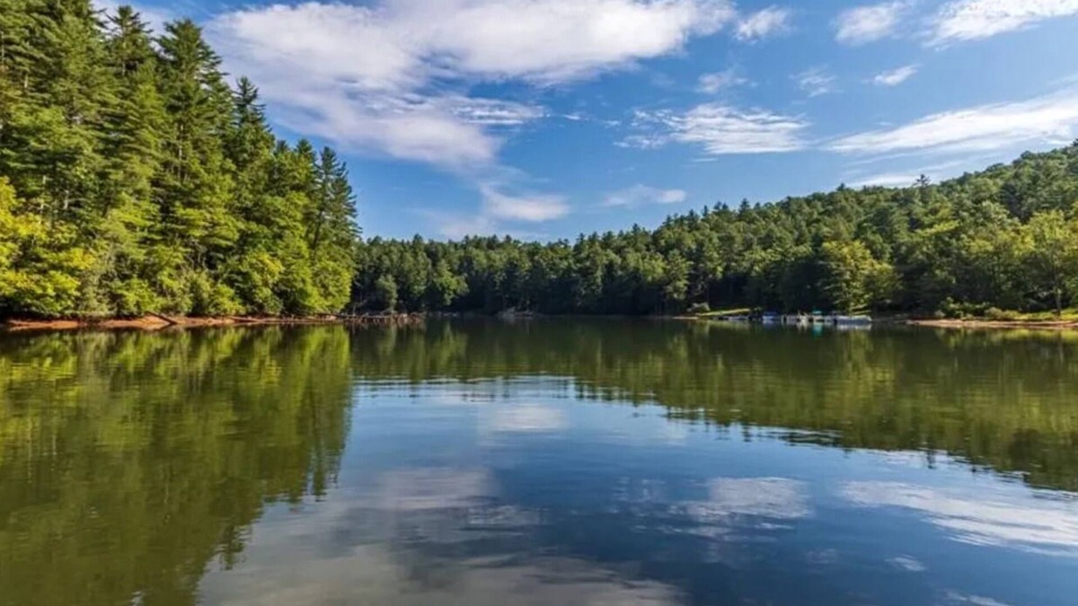 Cullowhee House | Treehouse on the Lake! Direct Lakefront Home with Private Dock on Lake Glenville