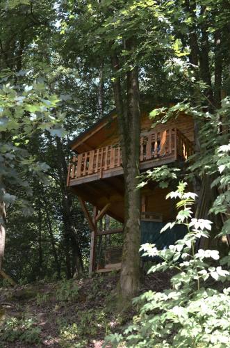 Velke Losiny Cabin | Treehouse Velké Losiny