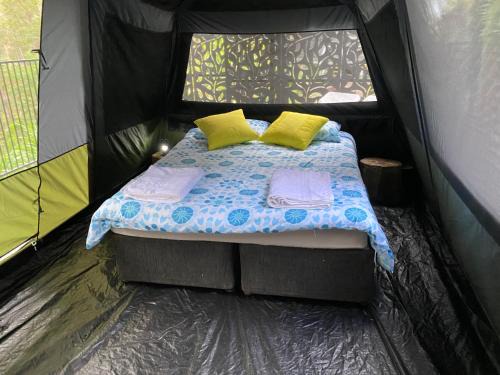 Tallebudgera Other | Trees Rd Glamping