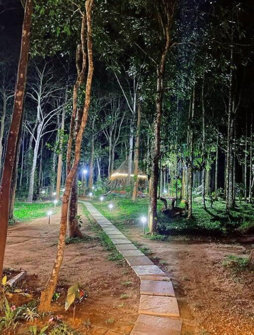 Kidanganad Villa | TreeSong Villa - Tranquil Forest Villa in Wayanad