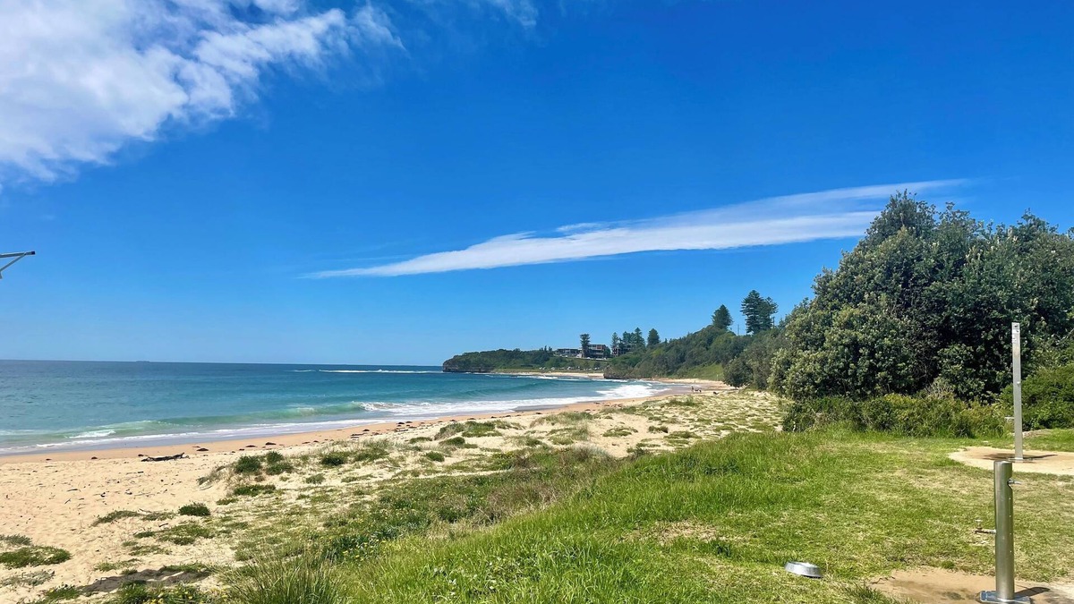 Bulli Tops Apartment | Treetop Beach Apartment 2 Coledalen3 mins walk to beach