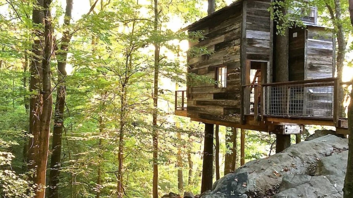 Flintstone Cabin | Treetop Hideaways: Luna Loft