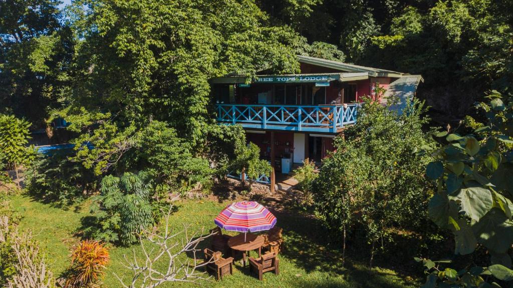 Port Vila Cabin | Treetops Boutique Hotel & Bungalows