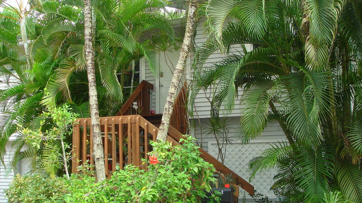 Bonita Springs Cottage | Treetops Riverfront Private Cottage w/Dock,wildlife,kayak,bike,pool,100+ reviews