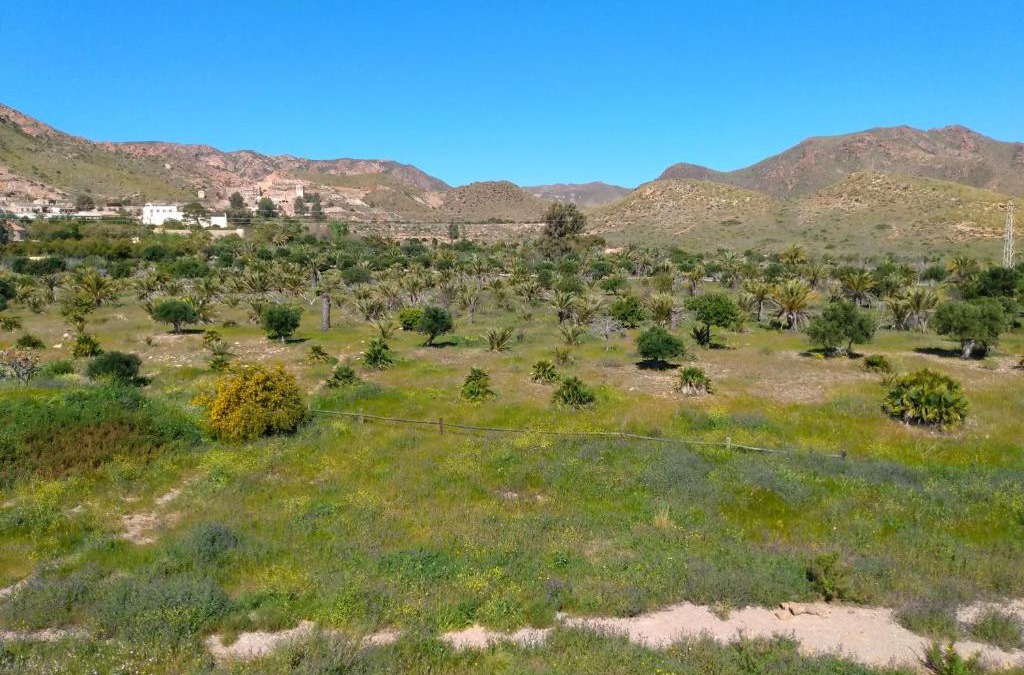 Rodalquilar Apartment | Trendy Homes Casa Nerida