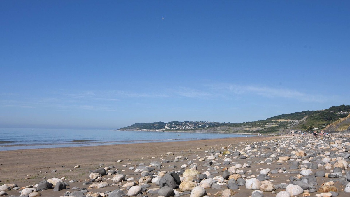 Bridport Cottage | Tri-star House