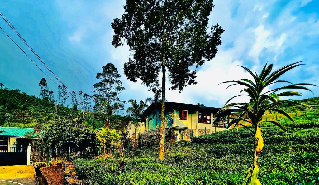 Hatton Hotel | Trinitons River side villas