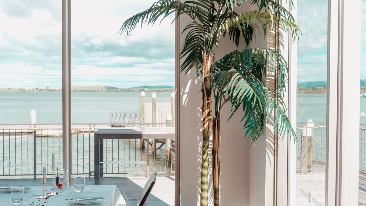 Tauranga Hotel | Trinity Wharf Tauranga